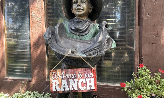 Elbert Cabin | Lodge on equestrian ranch .hot tub and high speed fiber optic !