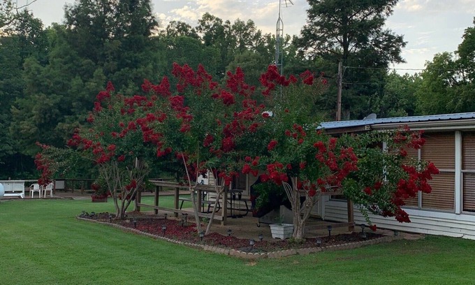 Wynnburg House | Lodging on Reelfoot Lake Upper Blue Basin at The Bayou Bungalow