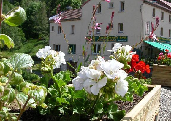 Saint-Cirgues-en-Montagne Hotel | Logis Hôtel Restaurant Les Cévennes