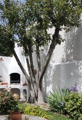 Buendia House | LOS SUEÑOS DE BUENDÍA