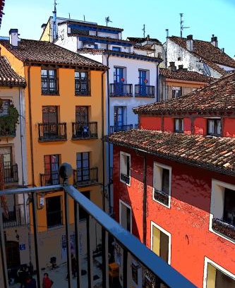 Logrono Historic Centre Apartment | Los Tejados de Laurel