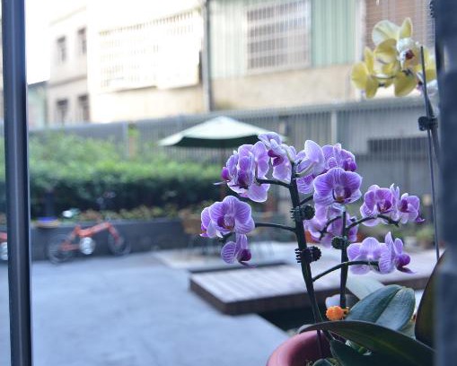 Xitun District Apartment | Love Fengchia