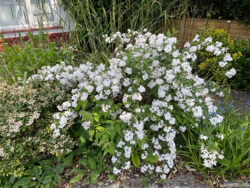 Bournemouth House | Lovely Bournemouth cottage with beautiful large garden, 5 min to the beach by car