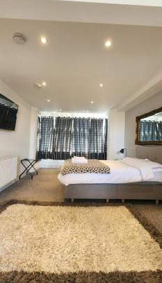 Hillsborough Apartment | Lovely Commodious, Private Charming Studio, En Suite