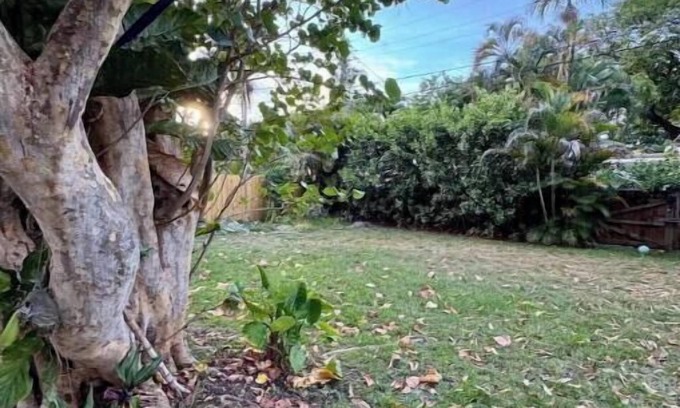 Miami Shores House | Lush & Peaceful tropical house