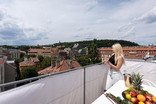 Nove Mesto Apartment | Luxurious Castle Suite