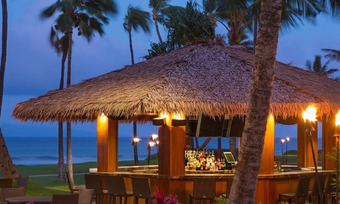 Kaanapali Condo | Luxury! 3Bd Ocean Beach front in Paradise! Hyatt Residence Club