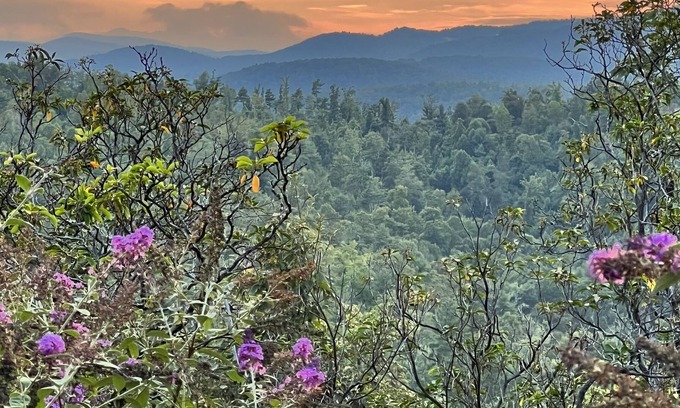 Purlear Cabin | Luxury Cabin, Stunning Views, Near Boone, ASU, Blue Ridge, Hiking, Fishing, ATV