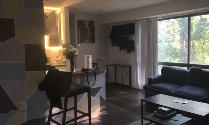 Mount Pleasant Condo | luxury fully renovated condo (events allowed