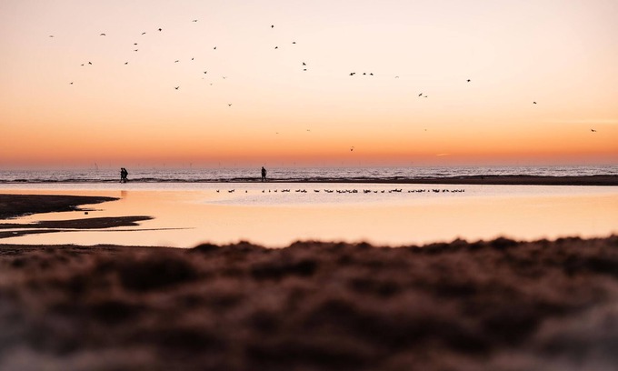 Municipality of Hellevoetsluis Apartment | Luxury hotel room with view of and near the beach