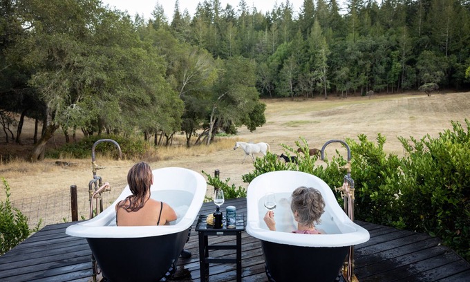 Healdsburg Villa | Luxury Organic Ranch Fabulous for Groups with Farm