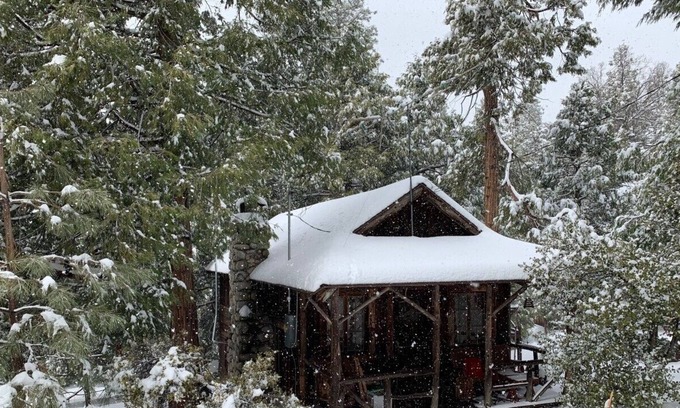 Idyllwild Cabin | MAGICAL! ultra-vintage remod 1937- fence for dogs