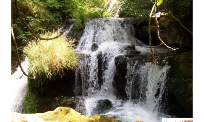 Carces Villa | MAGNIFICENT 5-BEDROOM VILLA WITH SWIMMING POOL