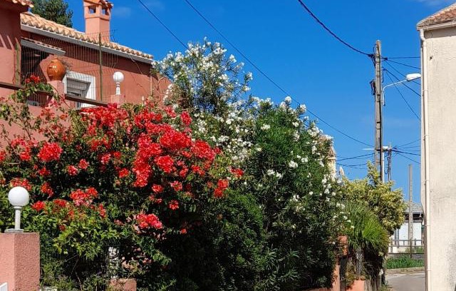 Macinaggio House | Magninca 2