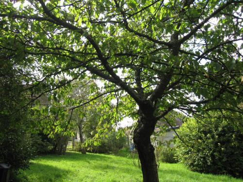 Cairon House | Maison avec grand jardin pour 15 couchages en Normandie