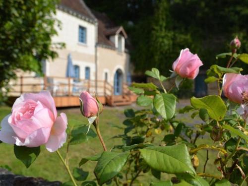 Chambourg-sur-Indre House | Maison de caractère 1840 en Touraine avec grand jardin, pêche, à proximité de Loches et châteaux. - FR-1-381-558