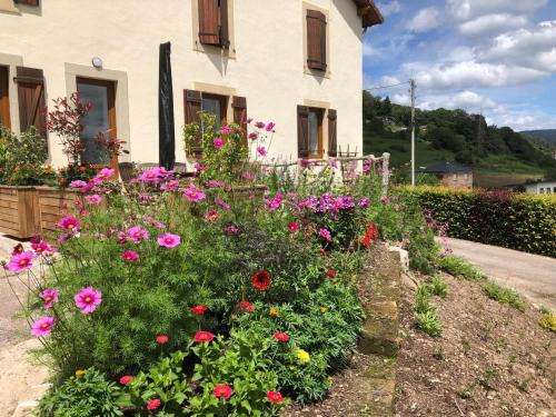 Saint-Nabord Apartment | Maison rénovée près des Hautes Vosges, idéale pour activités nature - FR-1-589-696