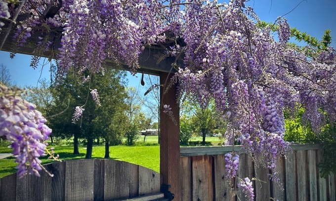 North Junior College Neighborhood Association House | Major Dr. · Stylish-Quiet-Spa&Pool-WiFi-Wine Country Getaway!