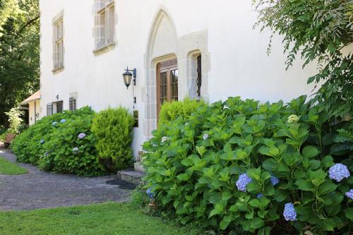 Tulle House | Manoir XV Domaine de Peyrafort