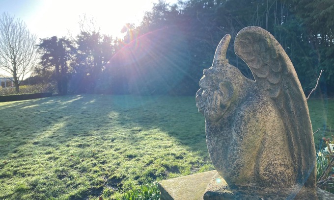 East Boldon Apartment | Mansion Annexe - Private 5 Acres-stunning Grounds