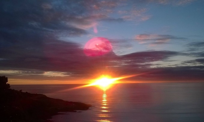 Raglan Apartment | Manu Bay Homestay.With great views.Access beach on bush track from here.