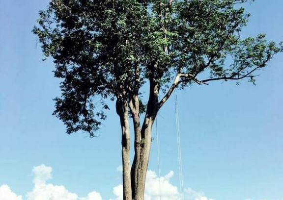 Pai Resort | Mari Pai Resort