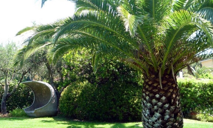 Lido di Capoliveri Apartment | Marilena - MARILENA - C/LIDO