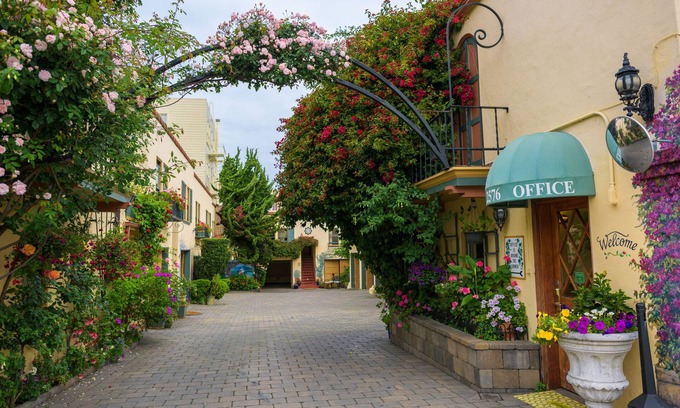 Marina District Hotel | Marina Motel