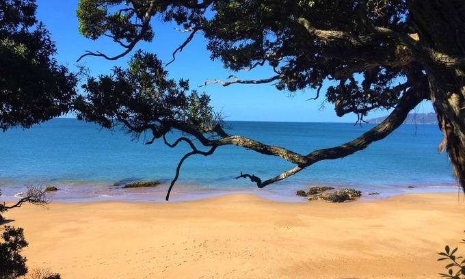 Cable Bay House | Mariner's Post - Views, Stylish, Close to Beaches