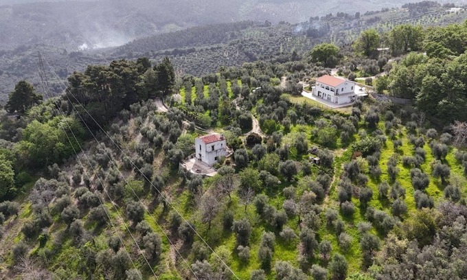 Vico del Gargano House | MATHEMATIC GREEN - A look at nature