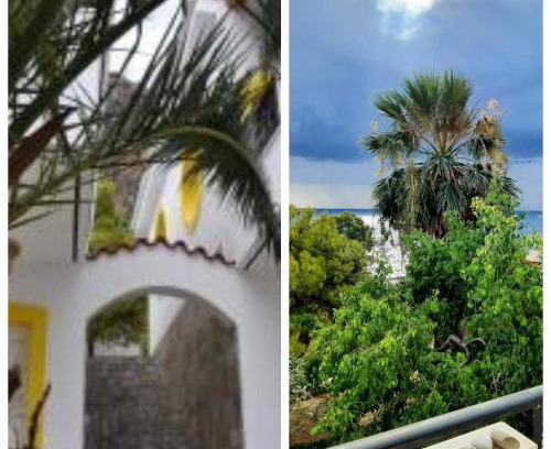 Monemvasia Apartment | Maviria