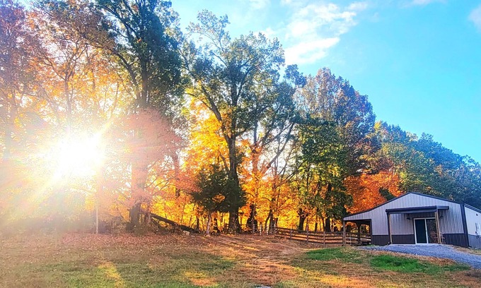 Readyville Cottage | Meadow Wood Cottage nPeaceful, Relaxing Luxury in the Country