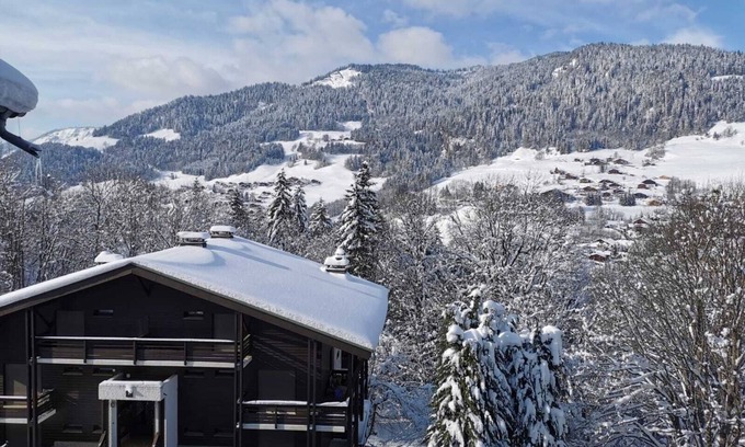 Megeve Apartment | Megeve. Very nice little studio in residence ideal for winter and summer.