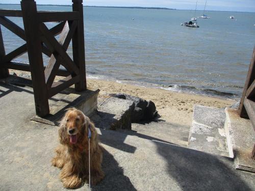 Ronce-les-Bains House | MER à 1mn ! book arnak tous les vacanciers ,TRES HAUTE SECURITE sur amivac, allez y !