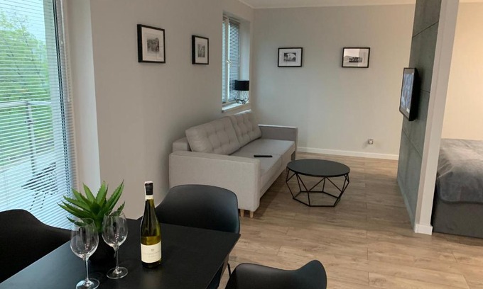 Brzezinka Apartment | Mg Apartamenty - Apartament 17