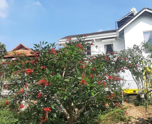 Phuong 10 House | MIA Villa Đà Lạt