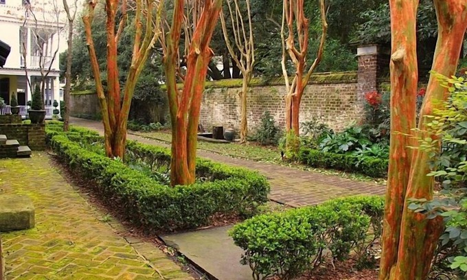 French Quarter Cottage | Mid 1700s Carriage House W/Courtyard, Gated Parking, And A Full Kitchen