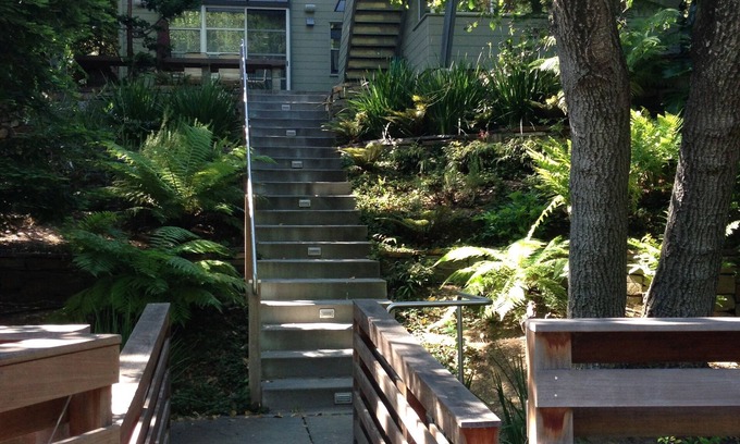 Mill Valley House | Mid-Century Modern Treehouse Retreat