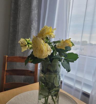 Opole Apartment | Mieszkanie 2P