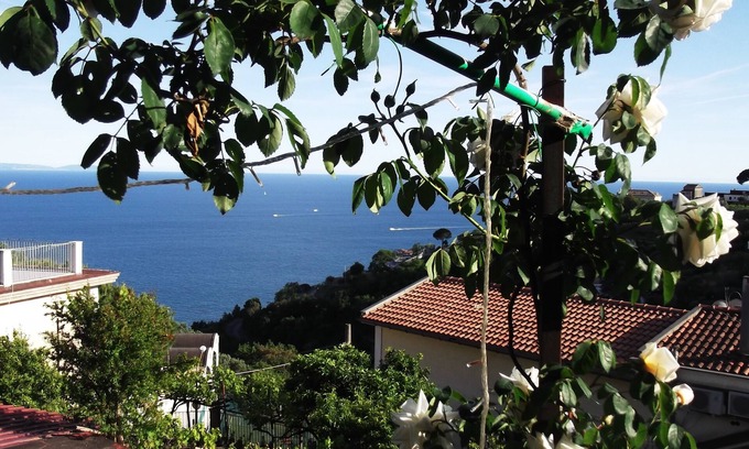 Dragonea House | mimosas at the beginning of the Amalfi coast