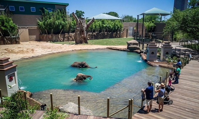 Memorial Hotel | Minutes away from Houston Zoo! Pets Allowed! Wheelchair-accessible! Gym! BBQ!