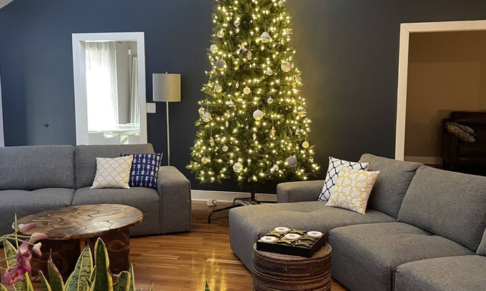 Stone Mountain House | Modern Cabin of Stone Mountain