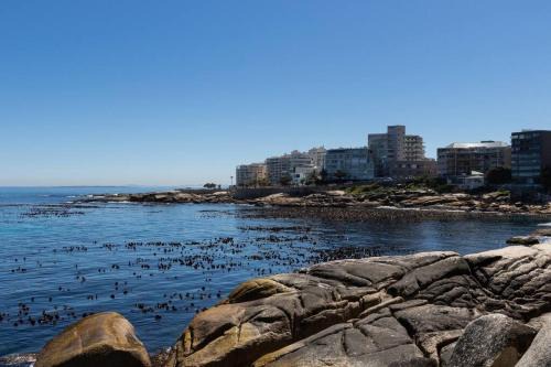 Bantry Bay Apartment | Modern & Luxurious Seaside Apartment