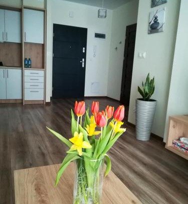 Suwalki Apartment | Modern