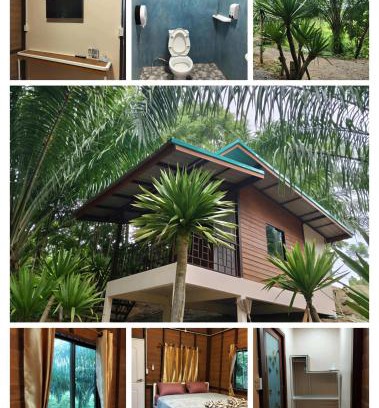 Phanom House | Modern Tor Tao camp