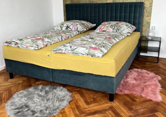 Kolin 2 Apartment | Monstera I