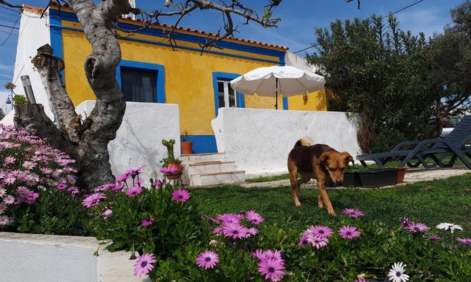 Faro House | Monte da ti Luzia