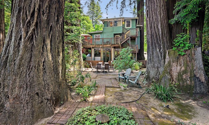 Northwood Cabin | Monte Rio Treehouse ~ Dog Friendly, Redwoods, Walk to Restaurants and River