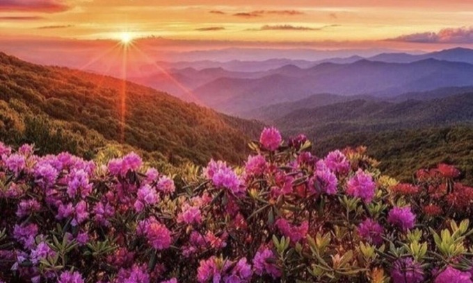 Asheville House | Monthly Discounts! Power/Water/Wifi/Near Mission Hospital and Biltmore Village.