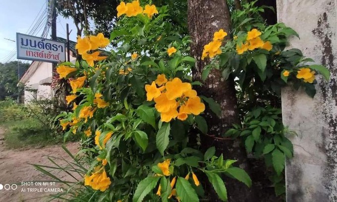 Ranong House | Montra Guesthouse